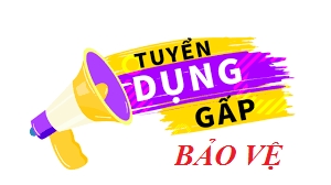 tuyen nhan vien bao ve lam viec tai ca mau